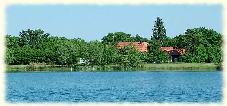 Blick vom See zur Mühle
